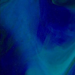 Meet your Posher, Forrest